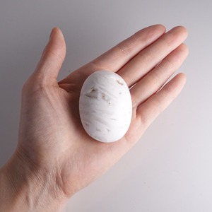 アゲート / ホワイト / パーム