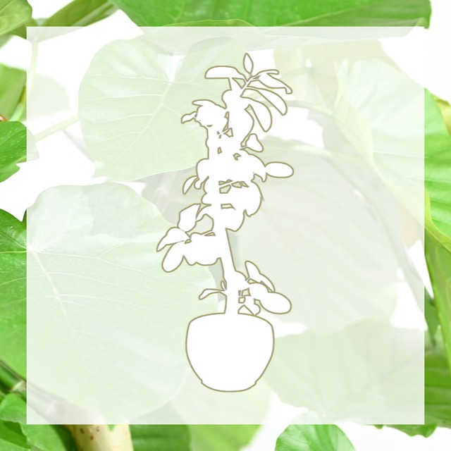 季節の観葉植物(12号鉢)