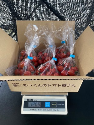 ミニトマト　1.2キロ