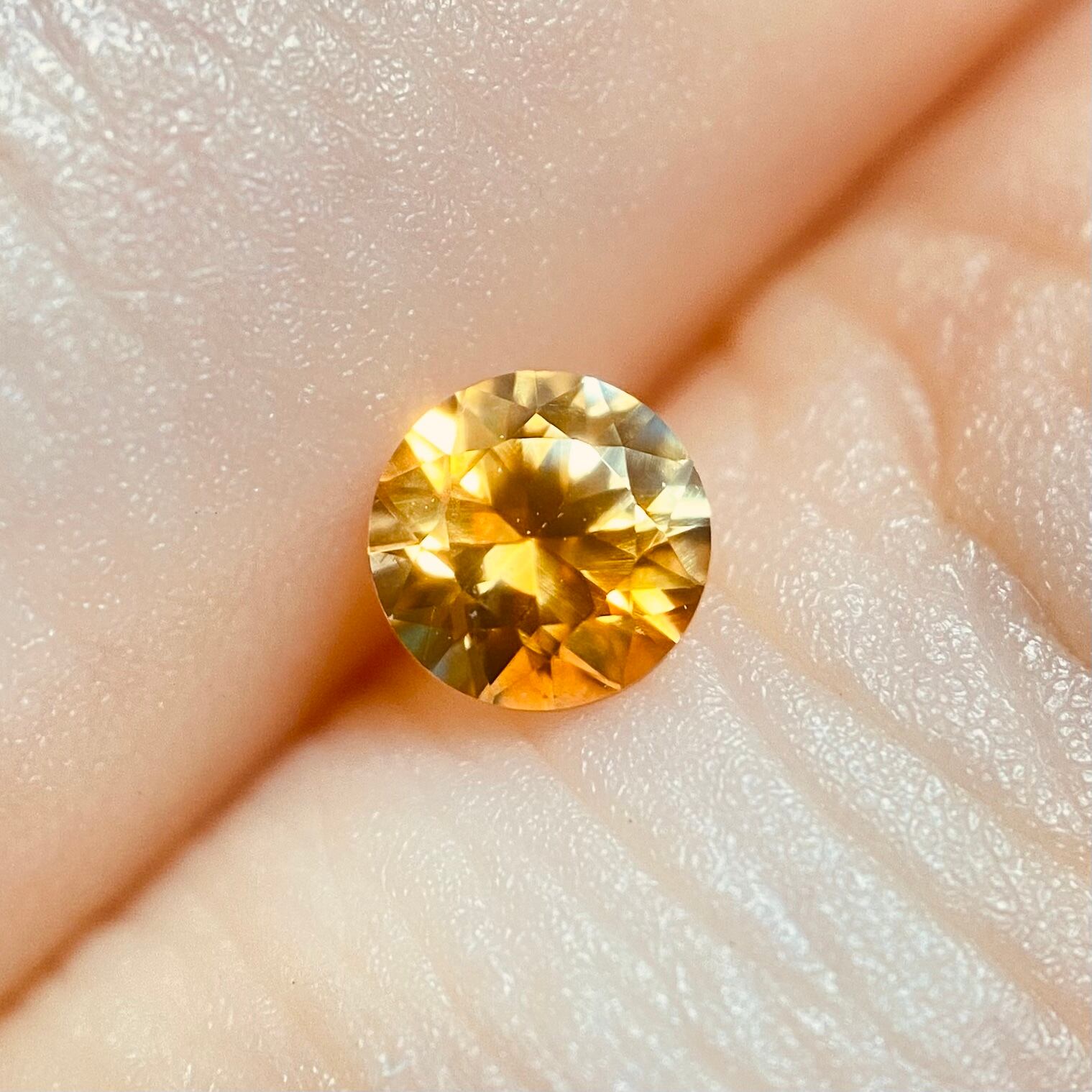 タンポポ モンタナサファイア