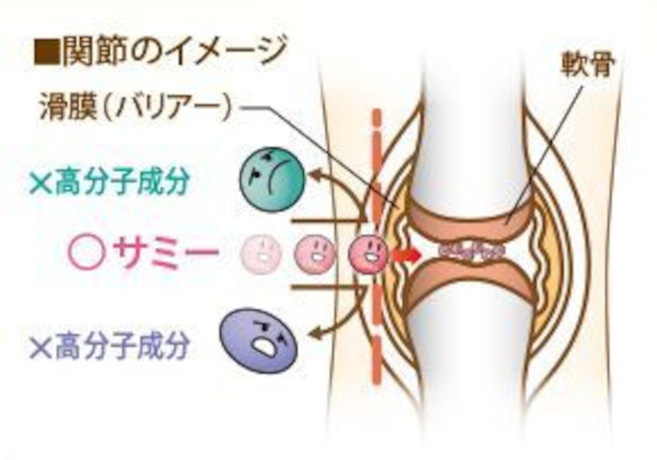 サミーサポート 60錠 (ペット用関節・肝機能・神経系)・画像2