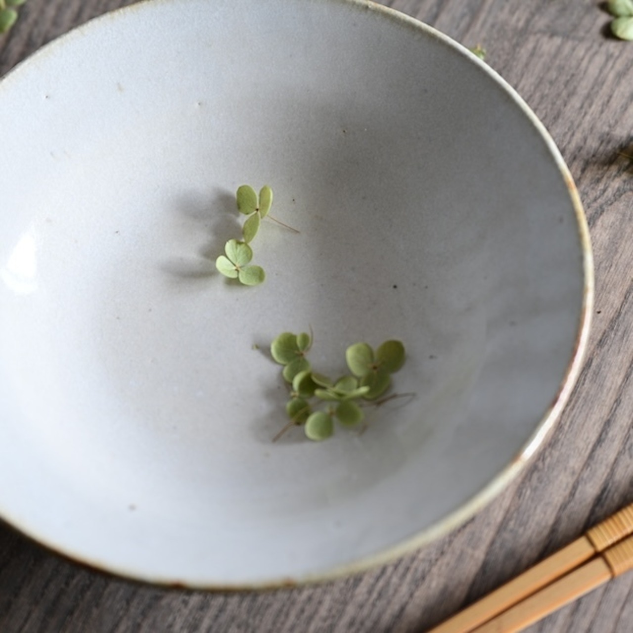 たくまポタリー 8寸深皿 皮鯨 (1枚) : 2104700010852