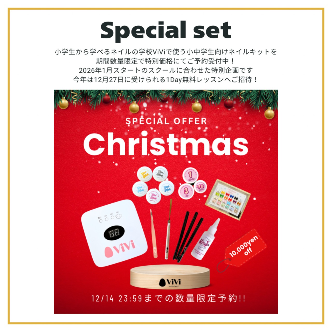 送料無料!! ViViネイルスクールキット