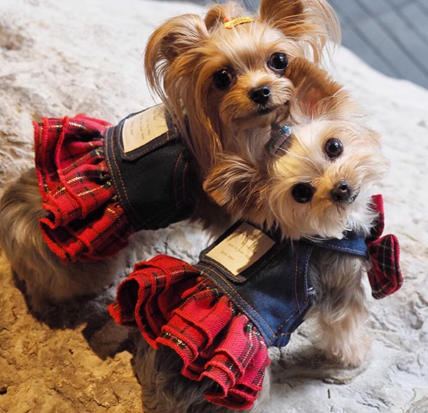 《即納》№3101975 重ね着ジーンズ&チェックワンピ