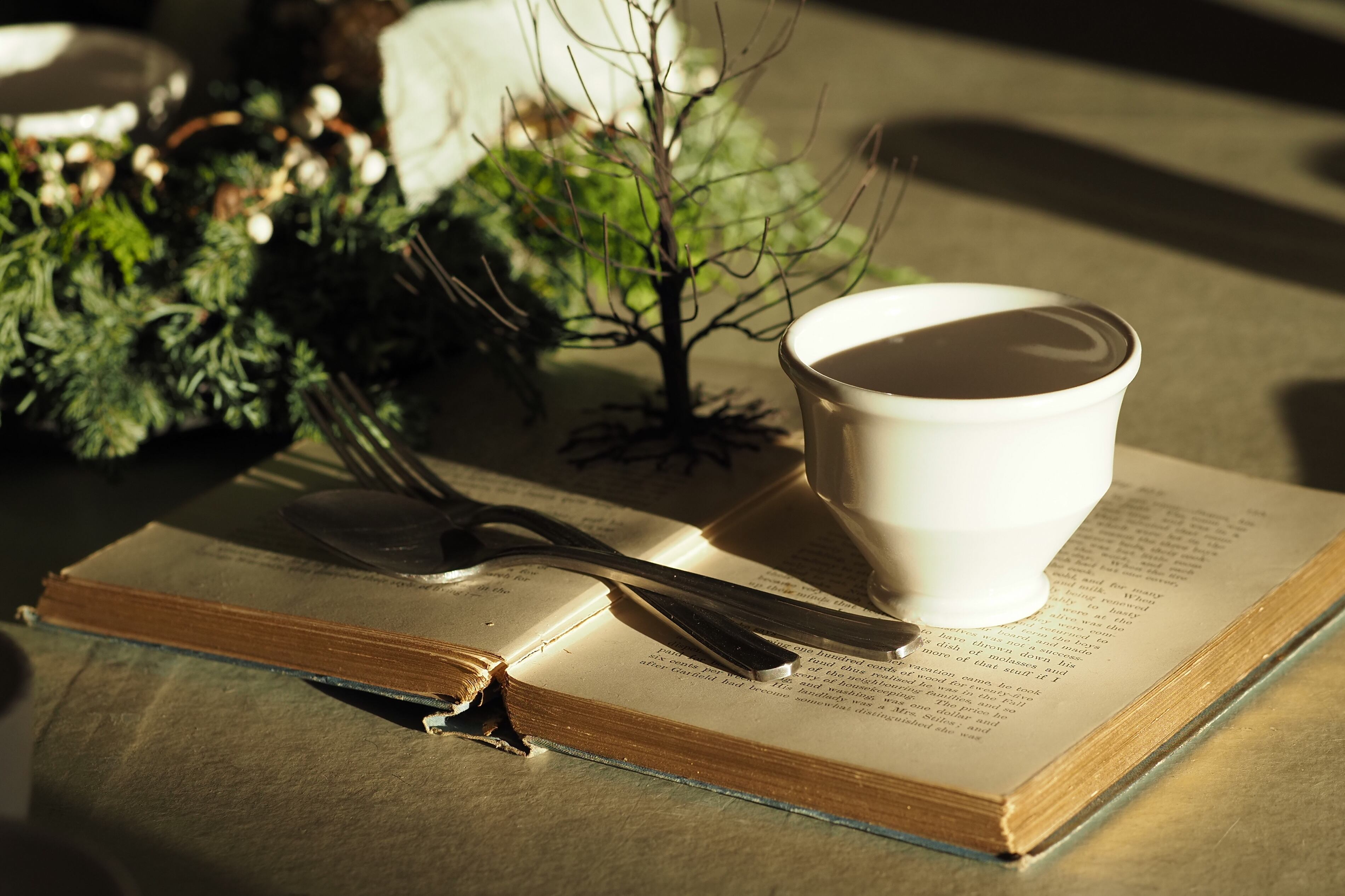 岡田直人 5.オランダカップS | 陶屋なづな