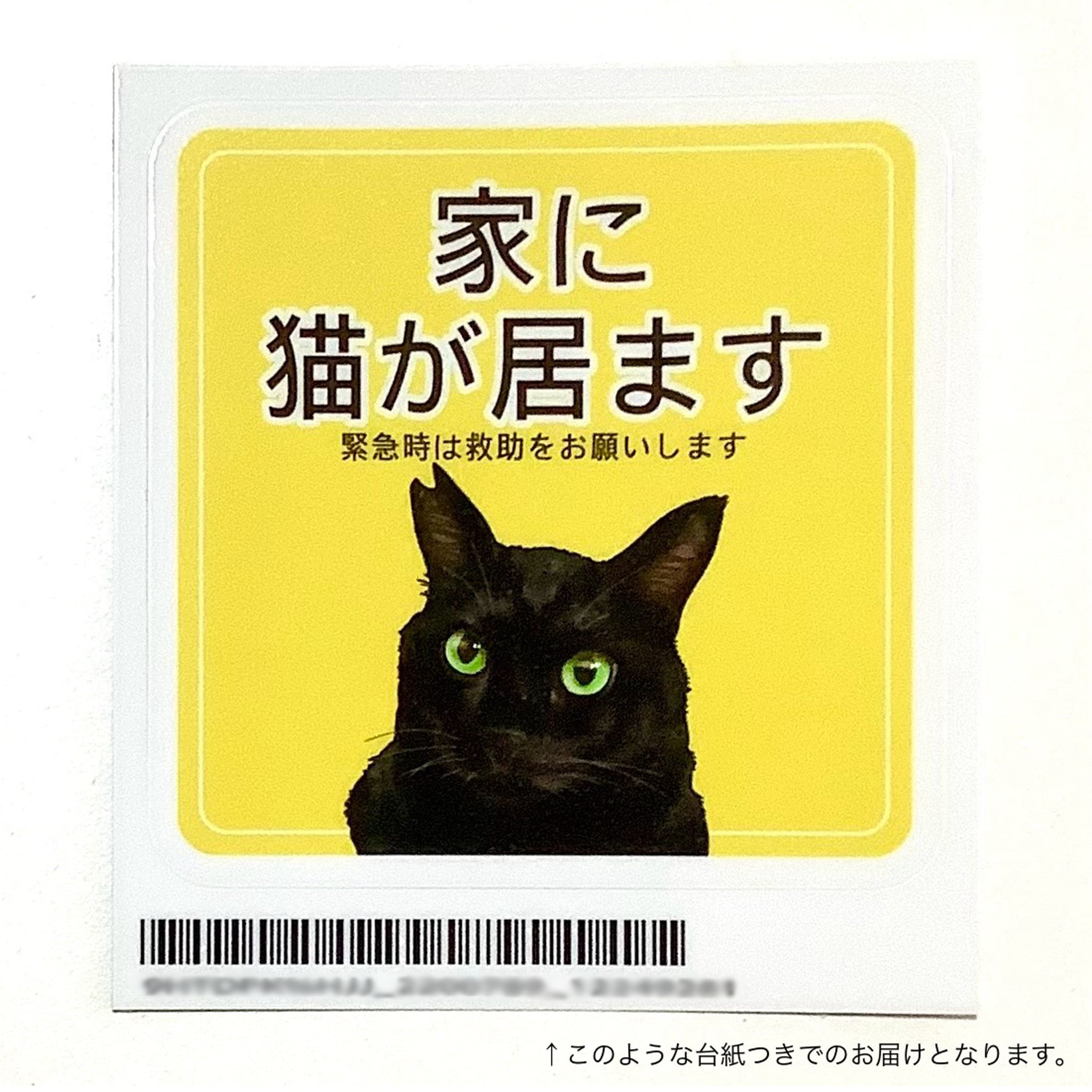 ねこ◎様♥️オーダーページ♥️2便になります オーダーメイド》ペット・動物の似顔絵 ＊ 2枚セット/うちの子