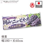 【受注生産】横幕 防炎 ポンジ 岡山のニューピオーネ01 180×60cm 52465