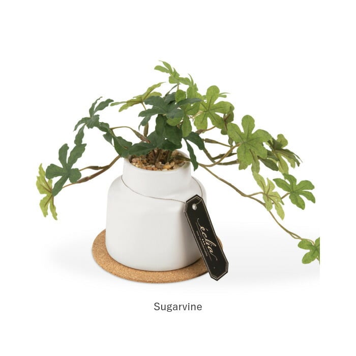 フェイクグリーン ミニ 通販 観葉植物 フェイク 鉢 小さい ct触媒 人工