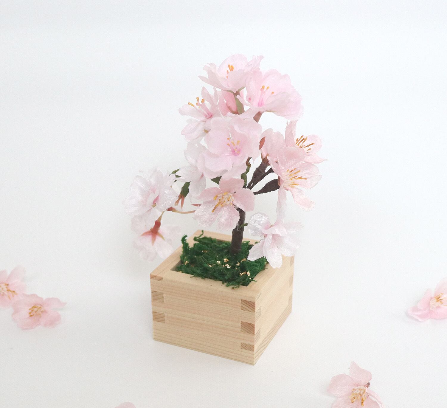 ミニ盆栽＞枡入り桜 雅・MIYABI 日本の春を永遠にお届けします | hana