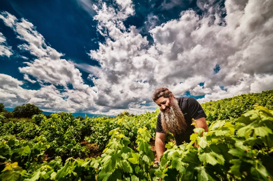 新VT【ラウル・ペレス】ウルトレイア サン・ジャック2022