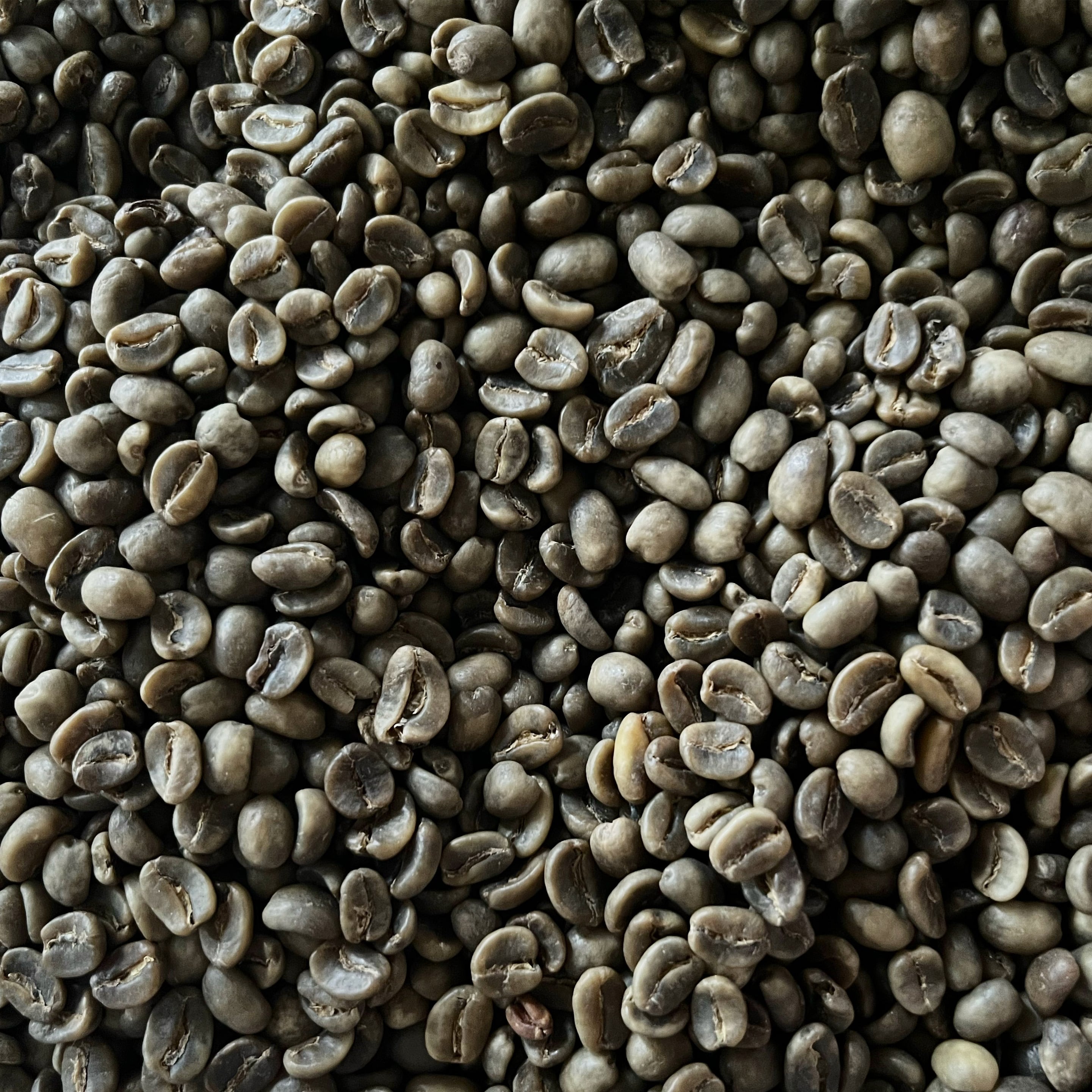 カフェインレス（ホンジュラス・有機栽培）100g
