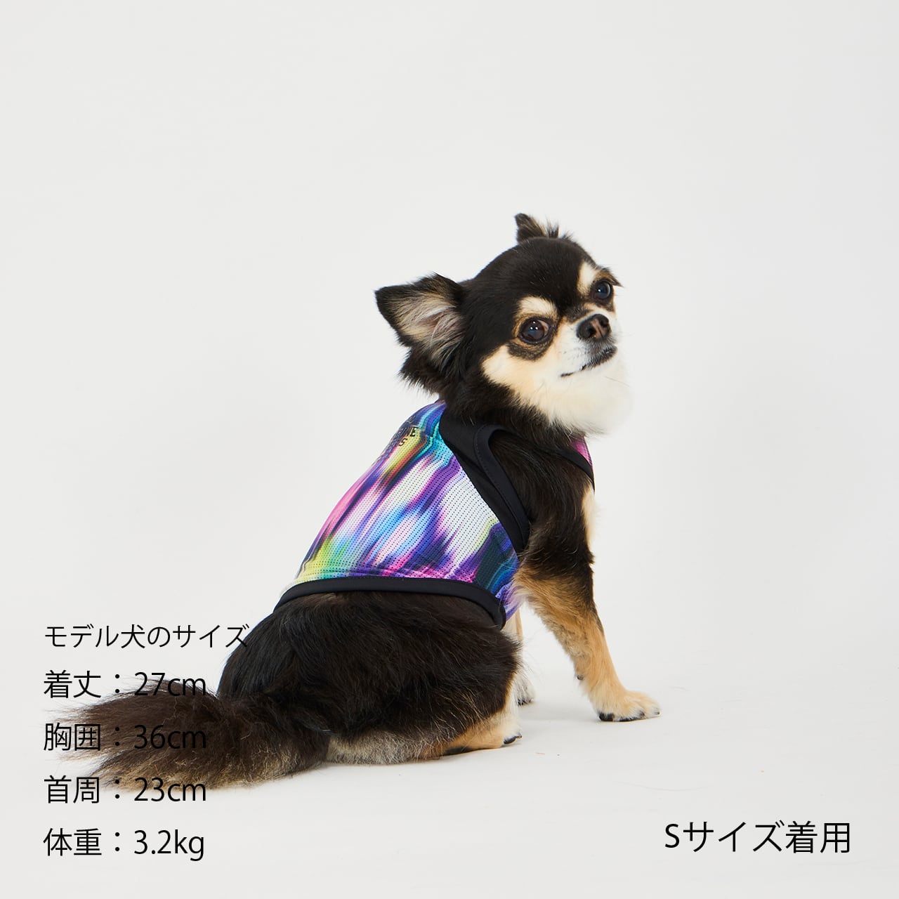COOL AURORA TANK（M.MD.L） クールオーロラタンク | MANDARINE