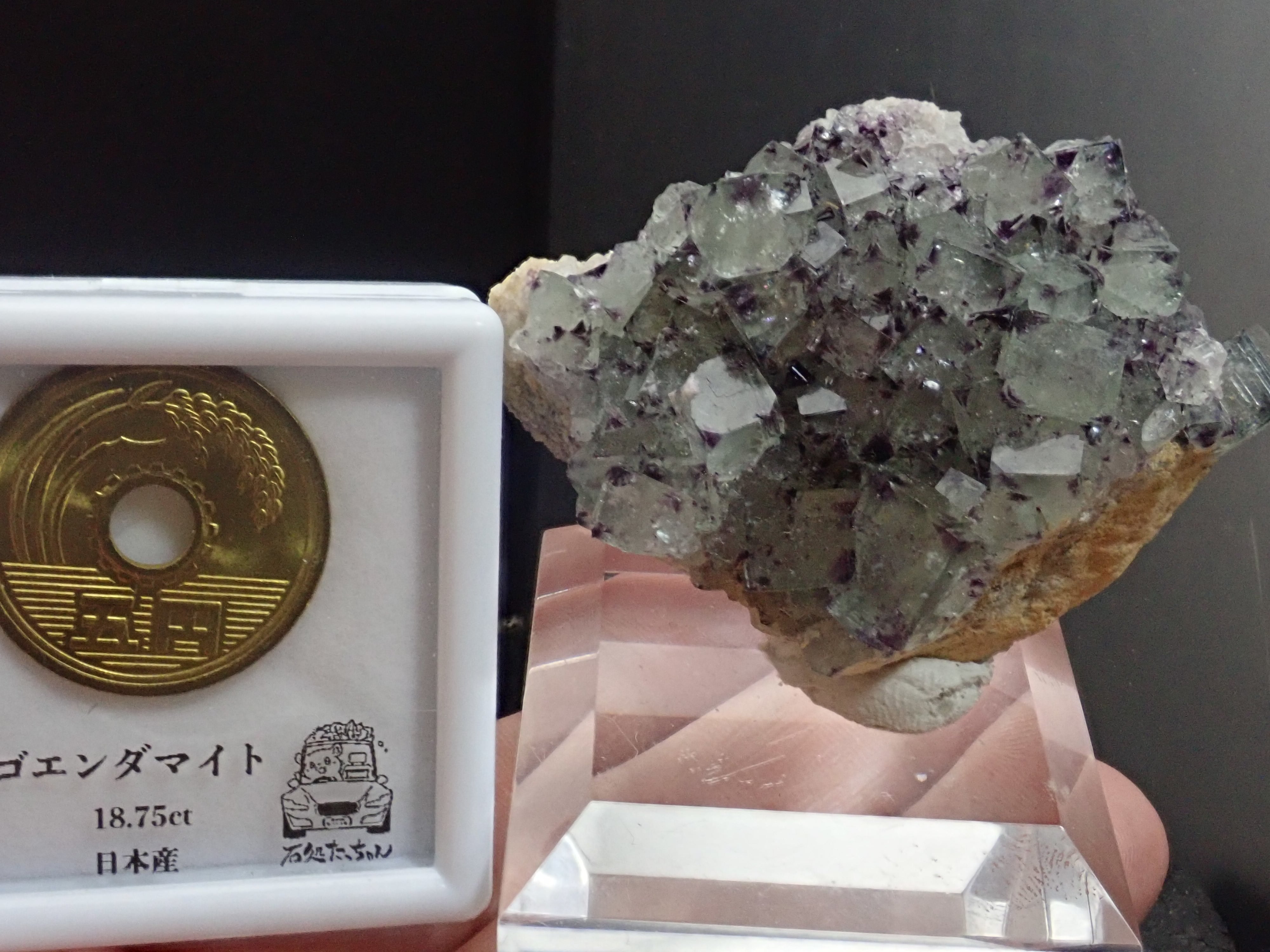 BlueberrySummitsPocket】フローライト 蛍石 原石 標本 | 石処たっちゃん