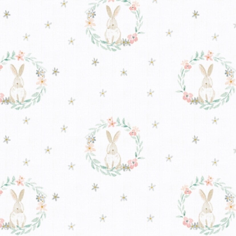 aden ₊ anais スワドル/ブラッシングバニーズ/2枚