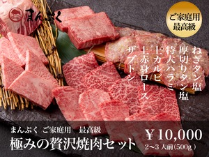 極みの贅沢焼肉セット（2～3人前 500g）