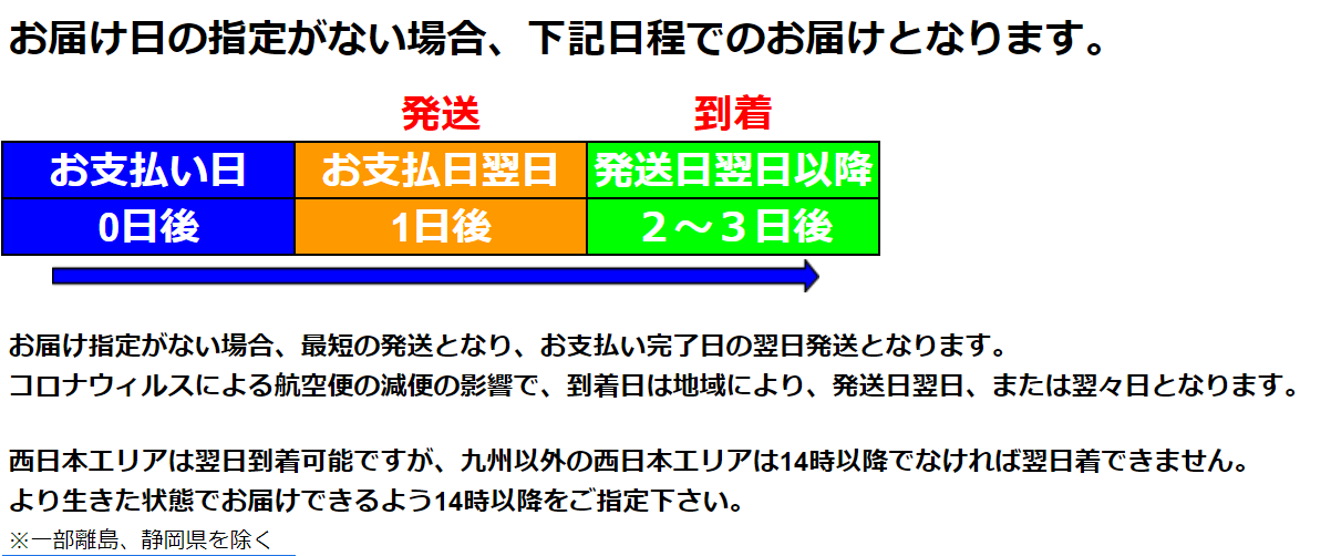 活き 車海老 1kg 33 45尾 熊本県産 産地直送 活きたままお届けで鮮度抜群 御歳暮 贈り物 活き 車エビ クルマエビ 車えび 刺し身 車海老の通販 くるまえびや海老吉 Web直営店 吉本水産