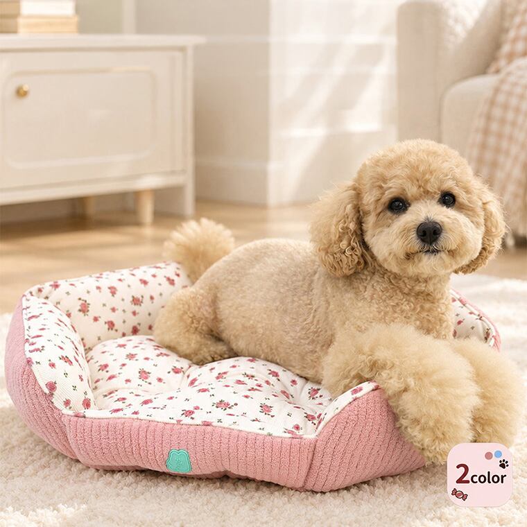 【予約販売10%OFF】jelly bear reversible bed 2color / 犬用 ベッド リバーシブル 両面 ふんわり 冬 可愛い クッション ペットマット 猫用 韓国 ペット用品 小型犬 中型犬 ハウス 高級 犬 ペットベッド