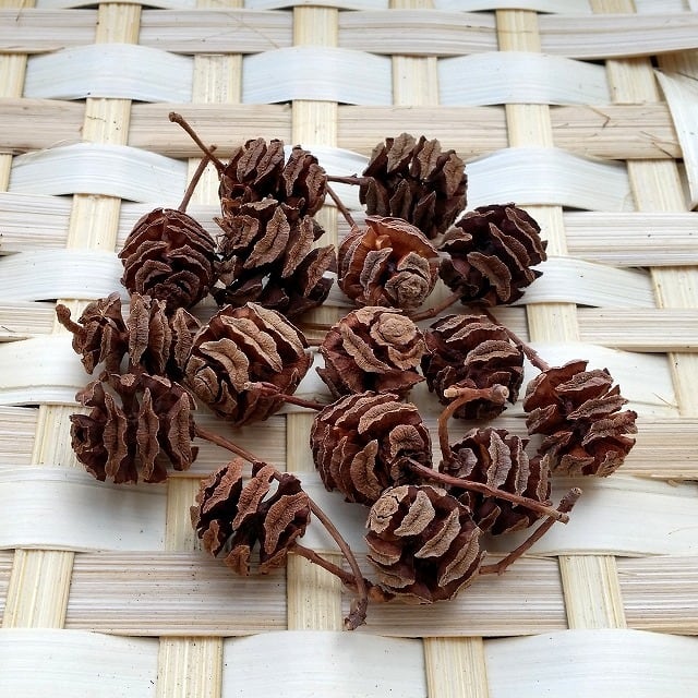 483ca6e497f8c9ce4d78f31f36a475