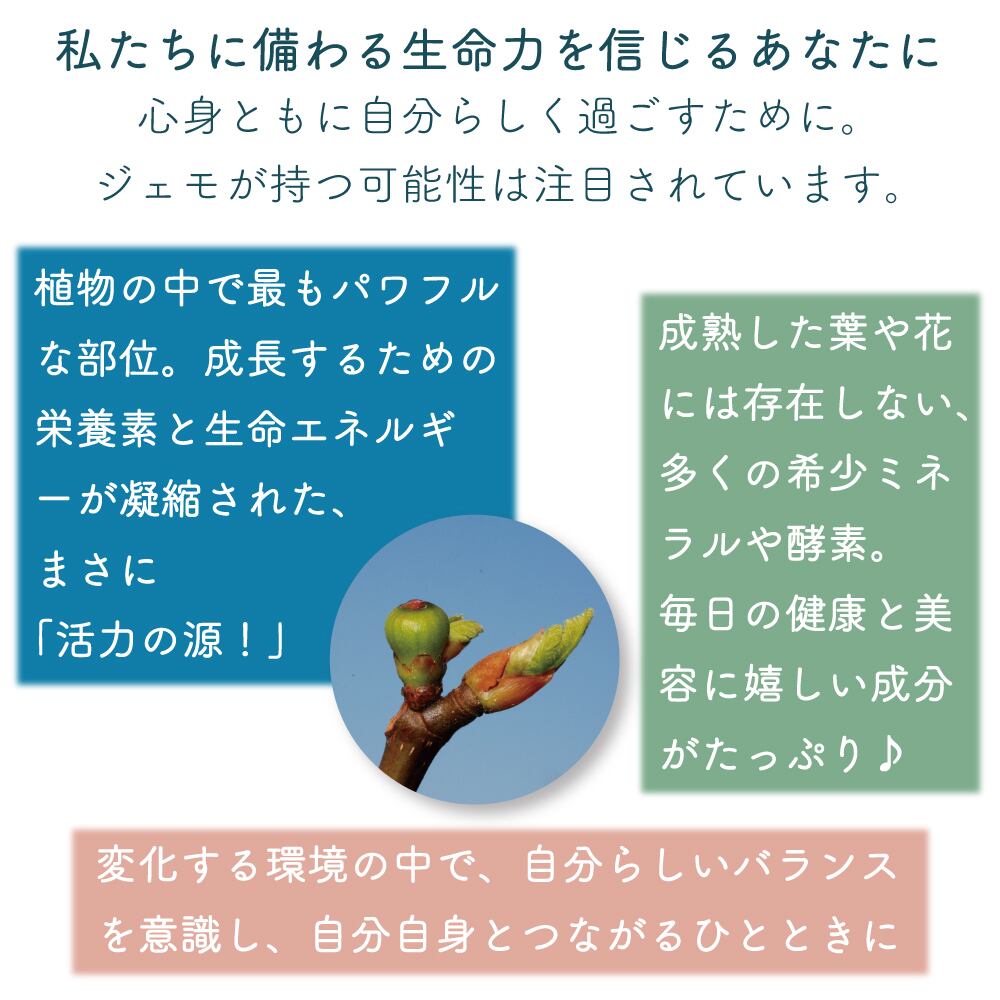 デプラリス 体と心のくすみに 内側からのキレイNo.1 生活管理 体質管理
