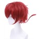 コスプレ耐熱ウィッグ レッド ミディアム 三つ編み ウィッグ ★らんま1/2/早乙女らんま 等 ★受注品★