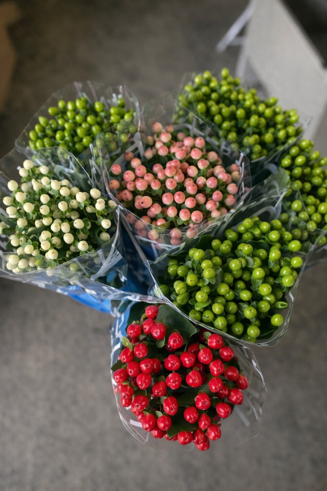 花問屋Greenfrog