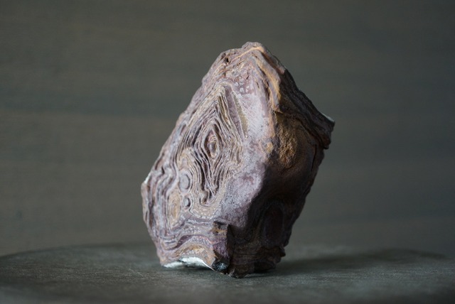 クムル産火山砕屑岩 Volcano-sedimentary Rock 1125