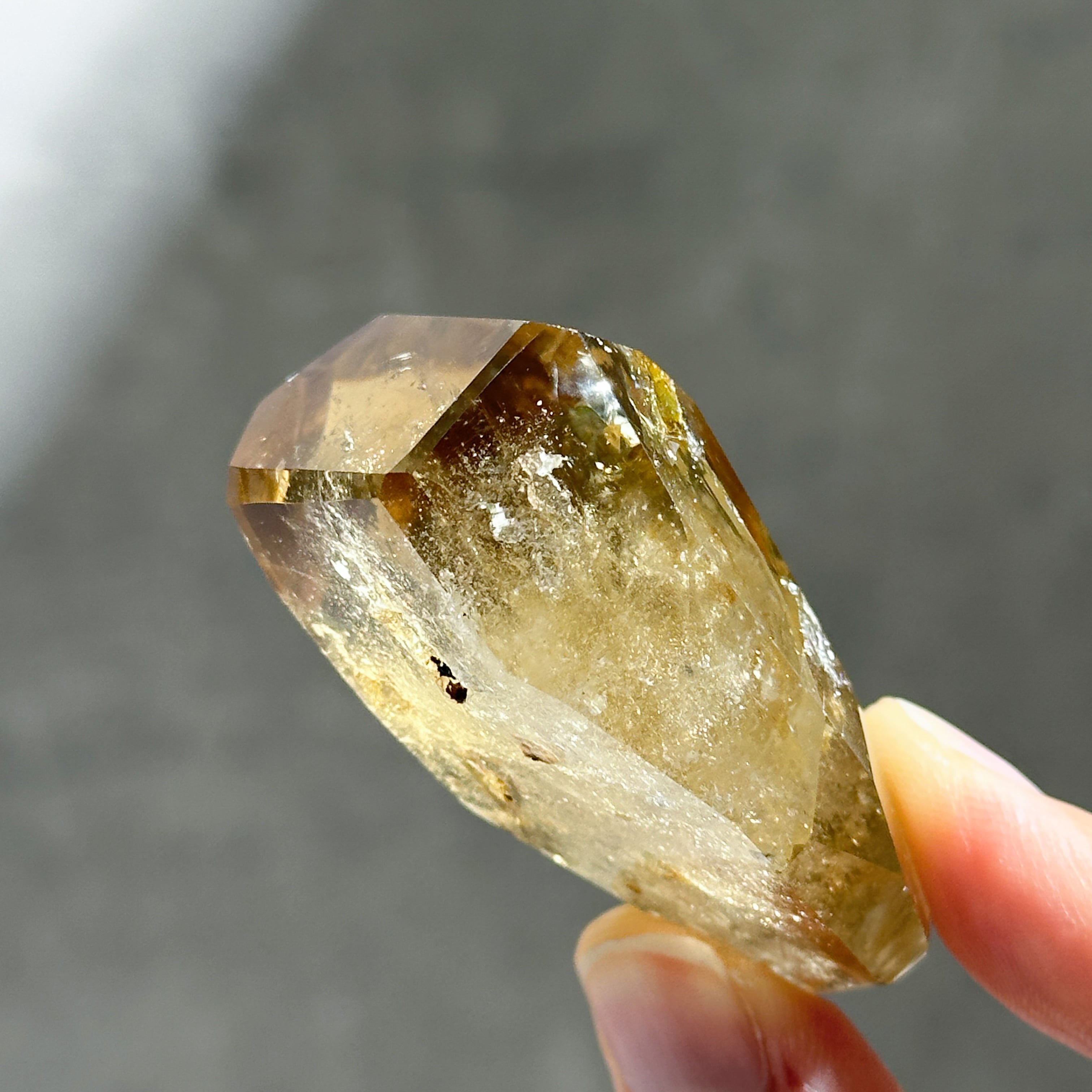亀型（シトリン） シトリン（黄水晶） フリーフォーム32◇ Citrine ◇ 天然石