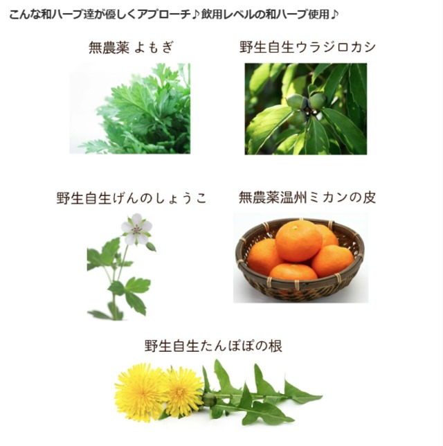 和ハーブ よもぎ蒸しパック 常花いざない 20包  国産無農薬ハーブ 送料無料
