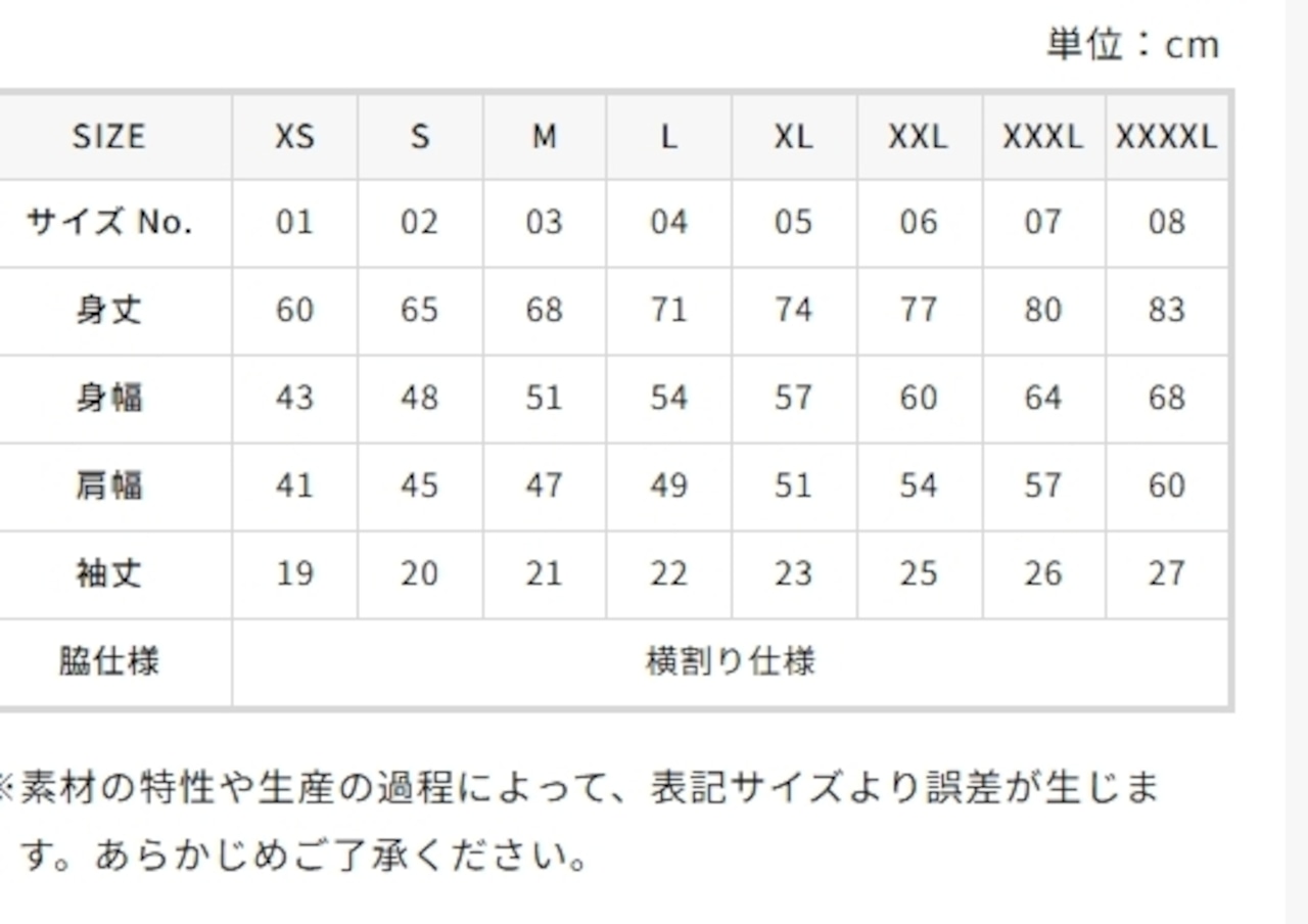 ライオンズ ポロシャツ・画像3