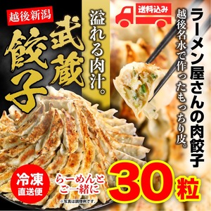 餃子（冷凍）30個入　【だるまや】【税込価格】