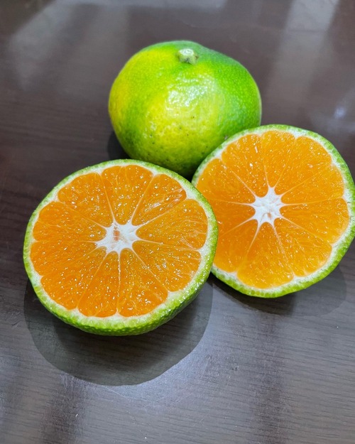 【全国一律送料】極早生みかん（日南1号）5kg