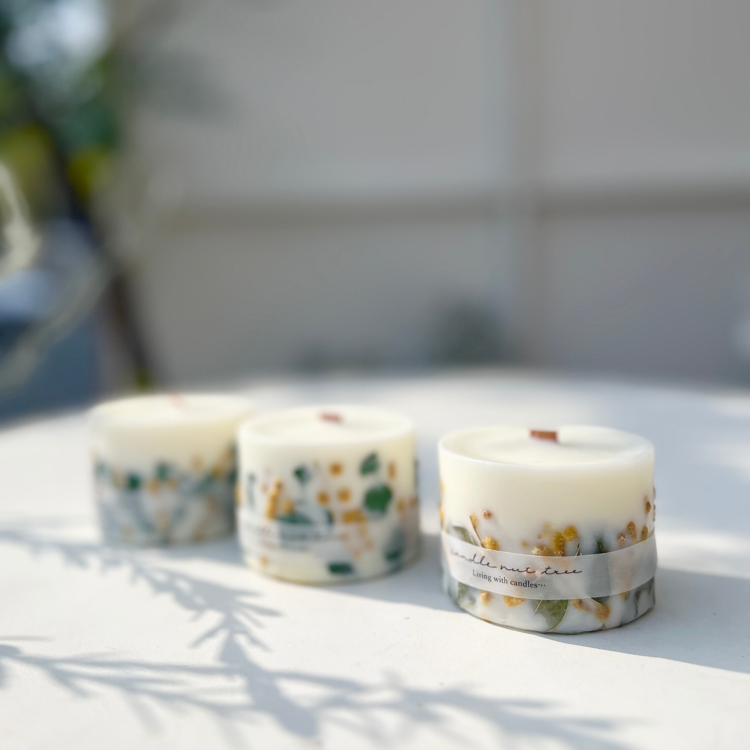 candle nut tree 木芯ソイボタニカルアロマキャンドル ミモザ | ihana