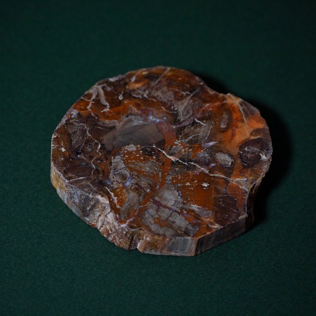 PETRIFIEDWOOD PLATE 4