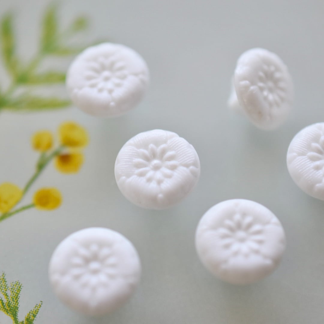 ジャパン ホワイトデイジー 10㎜