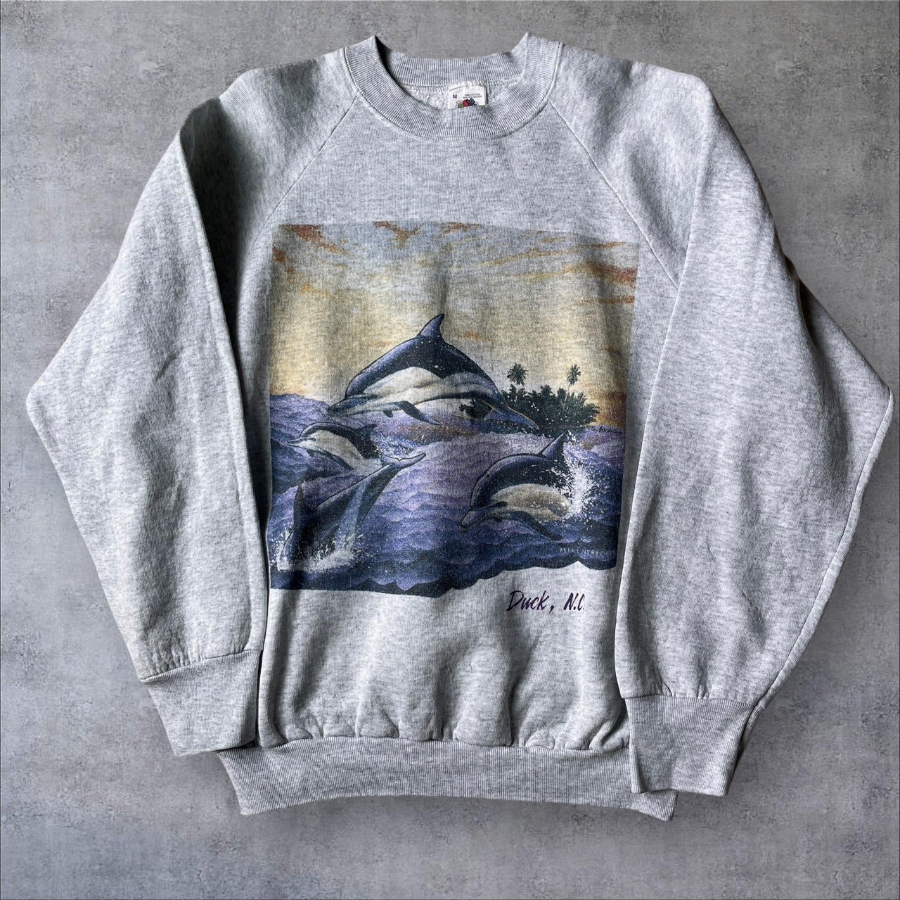90s Dolphin Sunset Sweatshirt