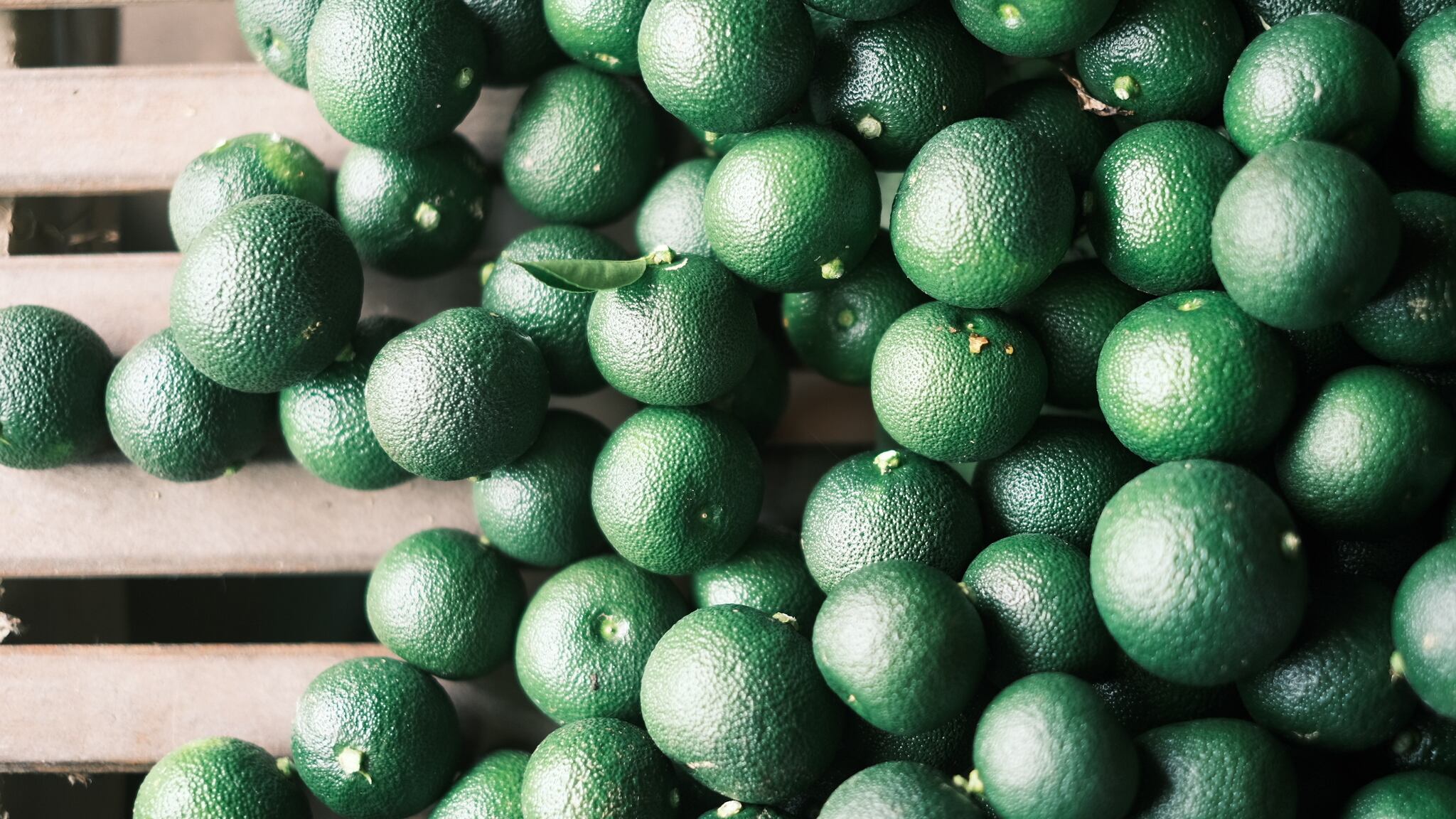 秋へべす AB込み 2 kg