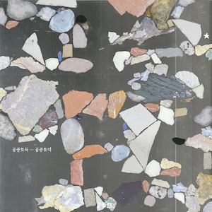 [TSR-222] Mid-Air Thief -  "Gongjoong Doduk " [ 12 Inch Vinyl + DL Coupon]　