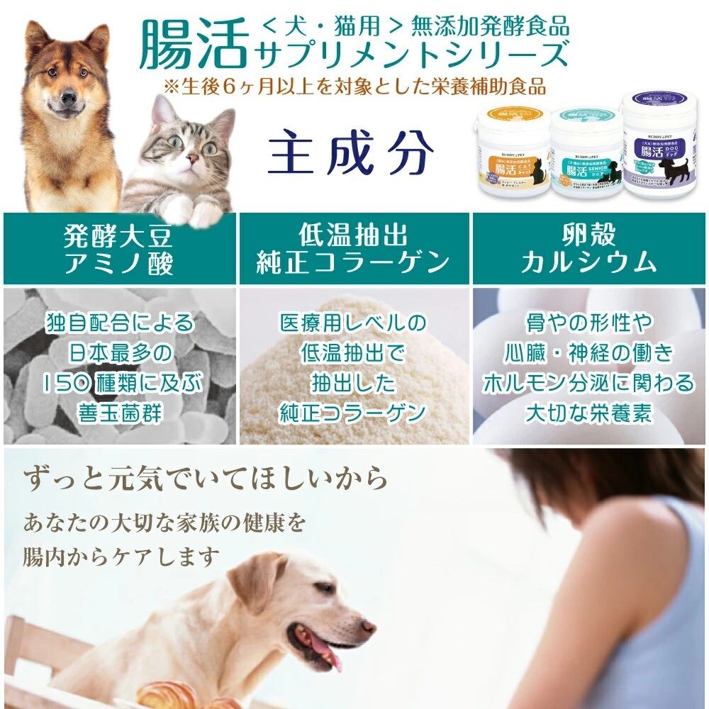 シニア 犬猫兼用 腸活シニア 52g | BUDDYPET