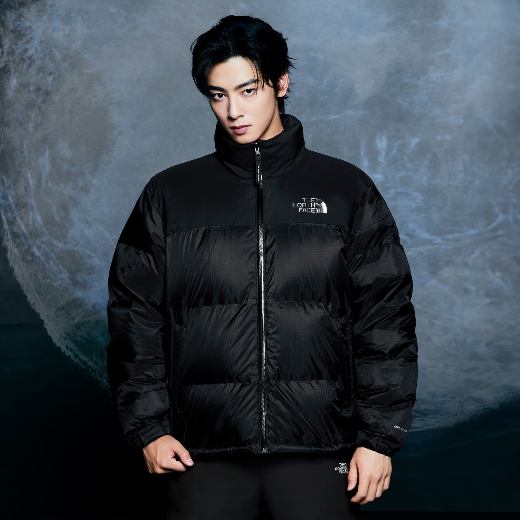 ☆THE NORTH FACE /韓国/ヌプシジャケット/メンズ/レディース/ダウン ...