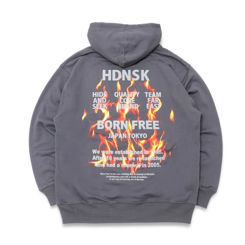 スウェットパーカー / HIDEANDSEEK(ハイドアンドシーク) / FLAME HOODED SWEAT SHIRT(HC-100823)