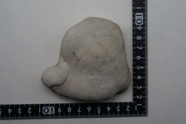 フェアリーストーン 妖精石 Fairy Stone ④