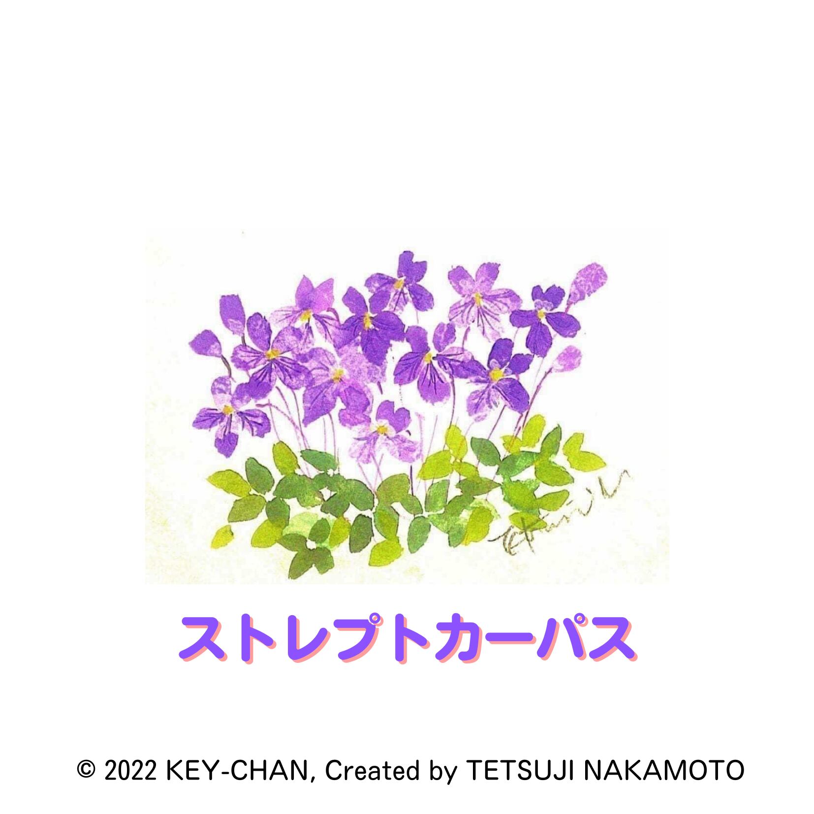 ストレプトカーパスは 8月9日の誕生日花です Keychan