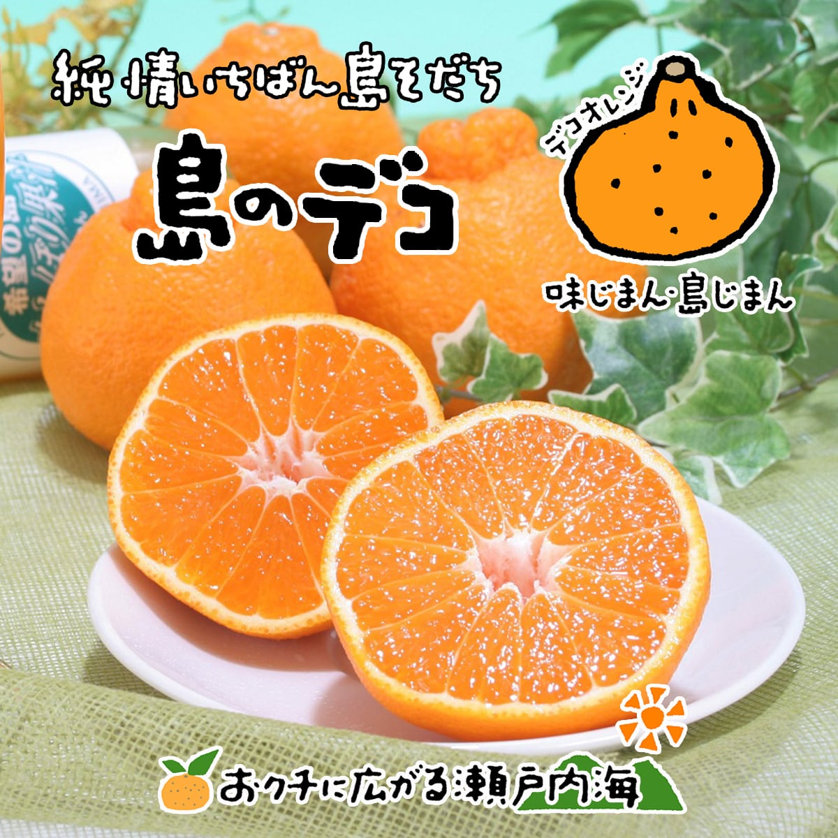 みかんの楽園 希望の島