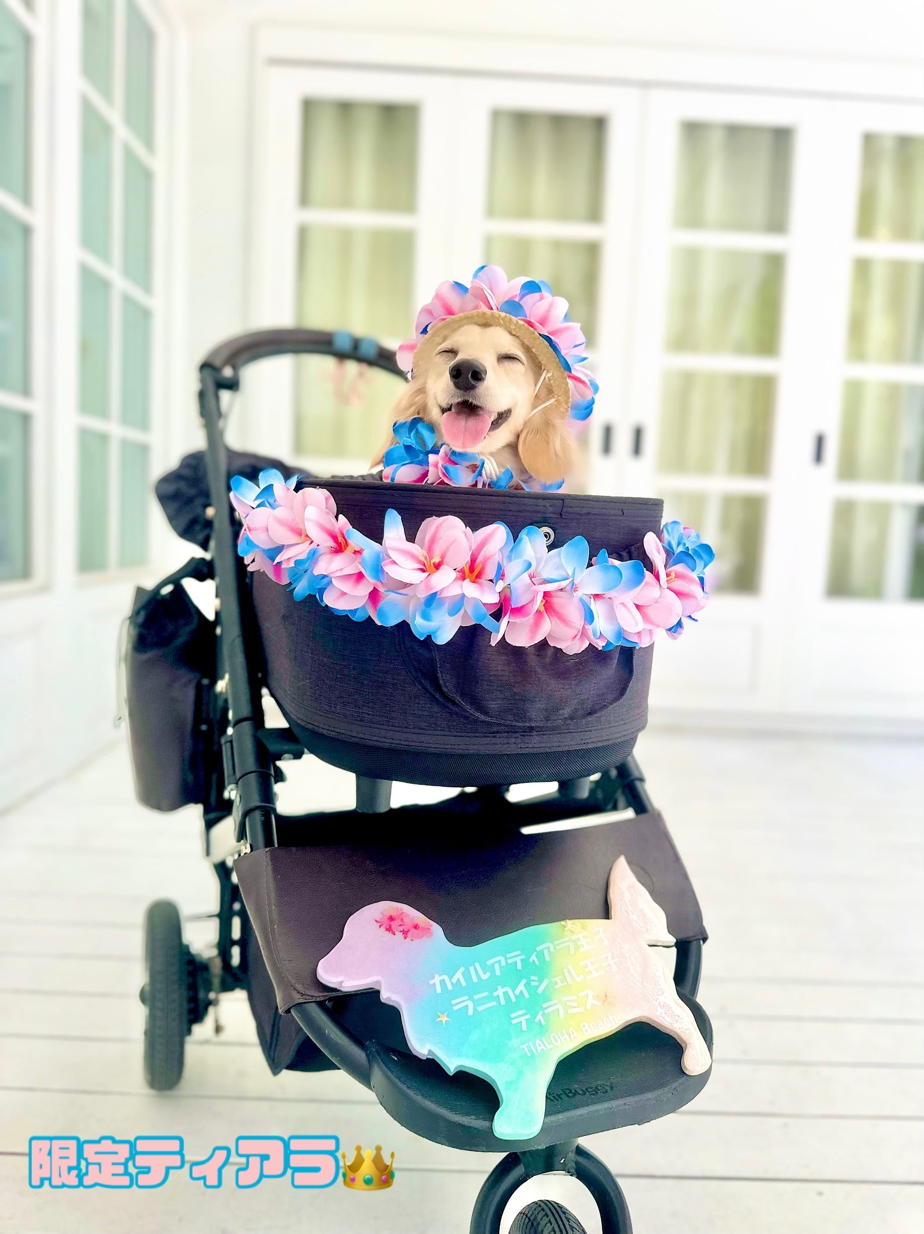 大型犬猫L 限定ティアラ