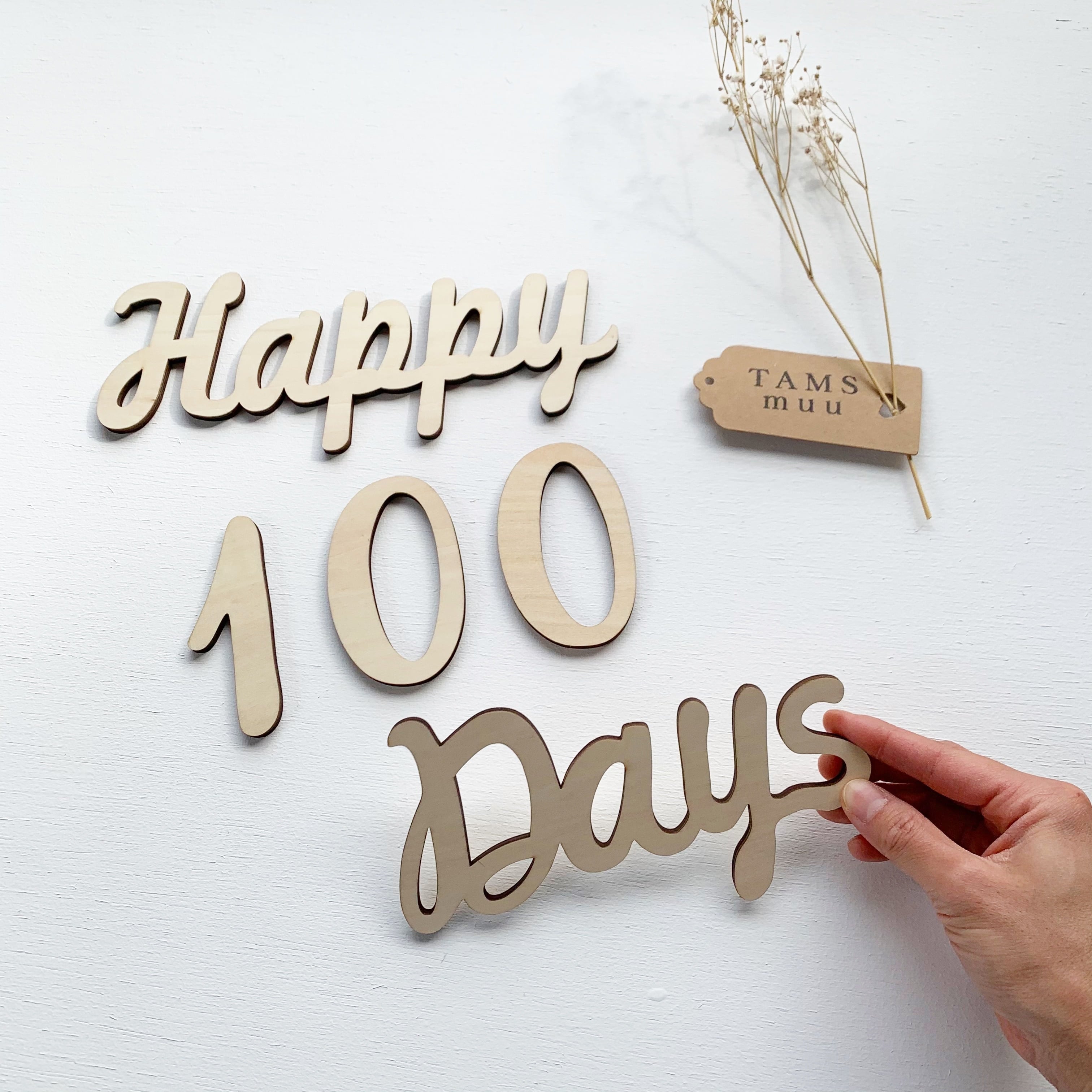 コメント専用ページhappy100days✧‧˚ 即納】Happy 100 Days レターバナー | TAMSmuu