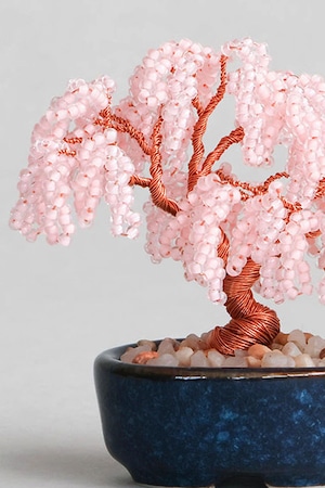 09 枝垂桜【nejitte盆栽】