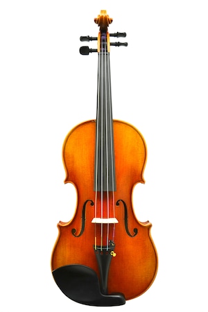 【Violin / ドイツ製】R.M.Paulus V-3