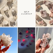 nora_tokiwaさま専用出品 12/7,9 ライブ分