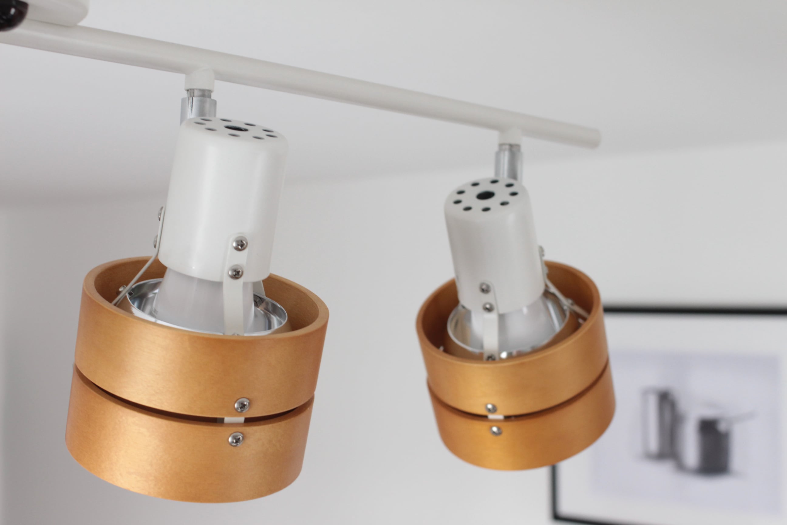 TAILOR テーラー シーリングライト | LISCOORD(リズコード)