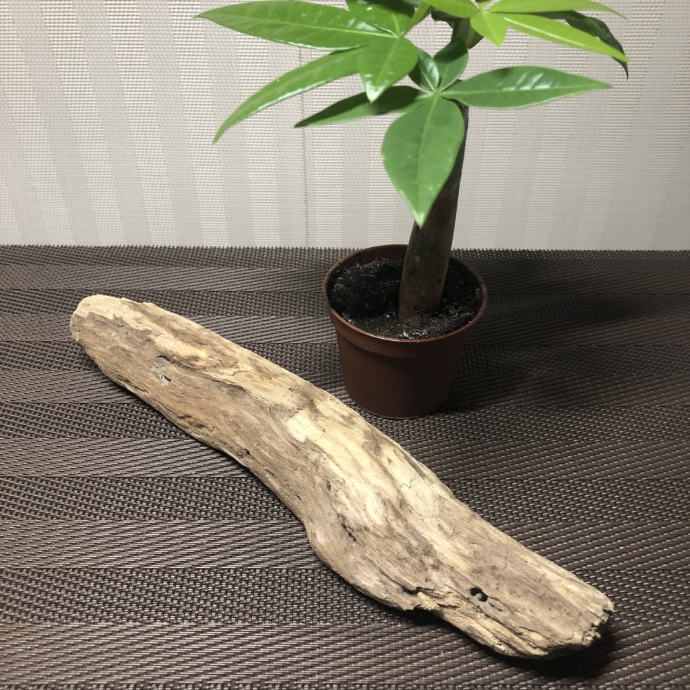 486bf6fc7bcd88d15499372dcd473e